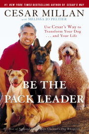 Be the Pack Leader