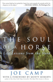 The Soul of a Horse 