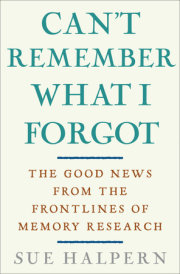 Can't Remember What I Forgot 