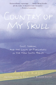 Country of My Skull 