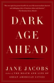 Dark Age Ahead 