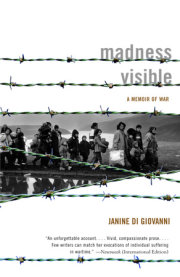 Madness Visible 