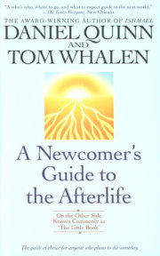 A Newcomer's Guide to the Afterlife 