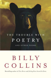 The Trouble with Poetry 