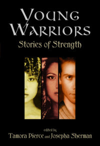 Book cover for Young Warriors: Stories of Strength
