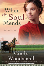 When the Soul Mends 