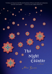 The Night Counter 