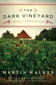 The Dark Vineyard 