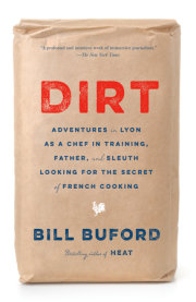 Dirt 