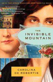 The Invisible Mountain 