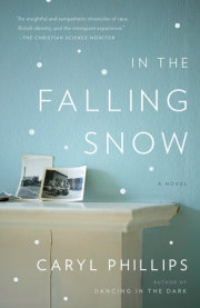 In the Falling Snow 