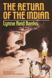 Cover of The Return of the Indian cover