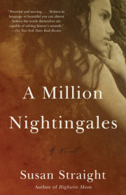 A Million Nightingales 