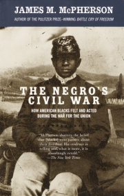 The Negro's Civil War 