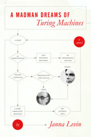 A Madman Dreams of Turing Machines 