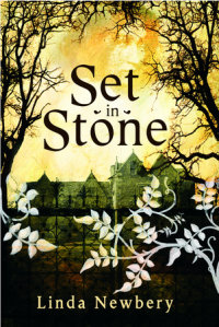 Book cover for Set In Stone