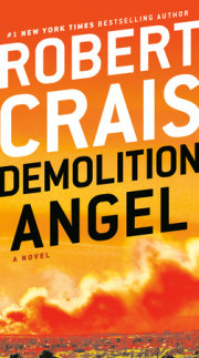 Demolition Angel 