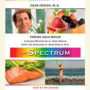 Finding Equilibrium 