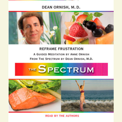 Reframe Frustration Cover