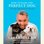 How to Raise the Perfect Dog 