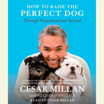 How to Raise the Perfect Dog Cover