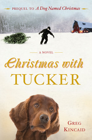 Tucker Plot Synopsis