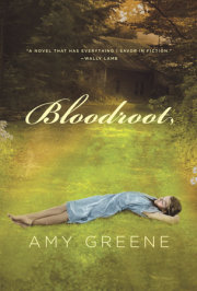 Bloodroot 