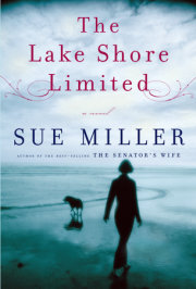 The Lake Shore Limited 