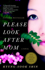 Please Look After Mom 
