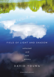 Field of Light and Shadow 