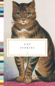 Cat Stories 