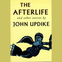 The Afterlife and Other Stories Cover