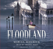 Floodland 