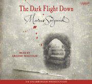 The Dark Flight Down 