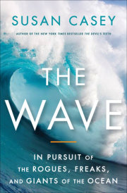 The Wave 