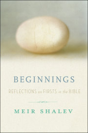 Beginnings 
