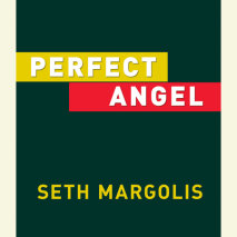 Perfect Angel Cover