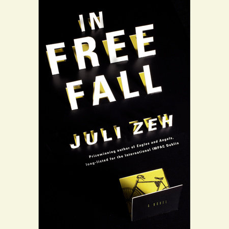 In Free Fall Cover