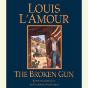 The Broken Gun 