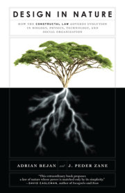 Design in Nature 