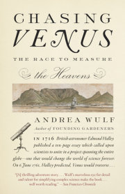 Chasing Venus 