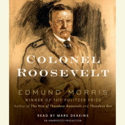 Colonel Roosevelt 