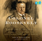 Colonel Roosevelt