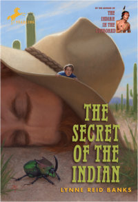 Cover of The Secret of the Indian cover