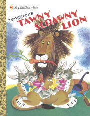 Tawny Scrawny Lion 