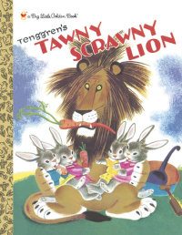 Cover of Tawny Scrawny Lion cover