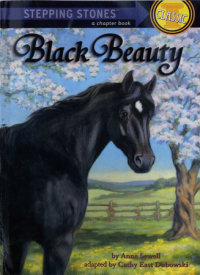 Cover of Black Beauty cover