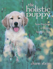 The Holistic Puppy 