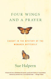 Four Wings and a Prayer