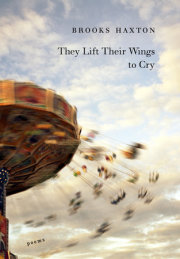 They Lift Their Wings to Cry 